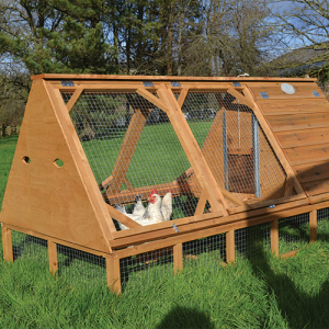 raised poultry house